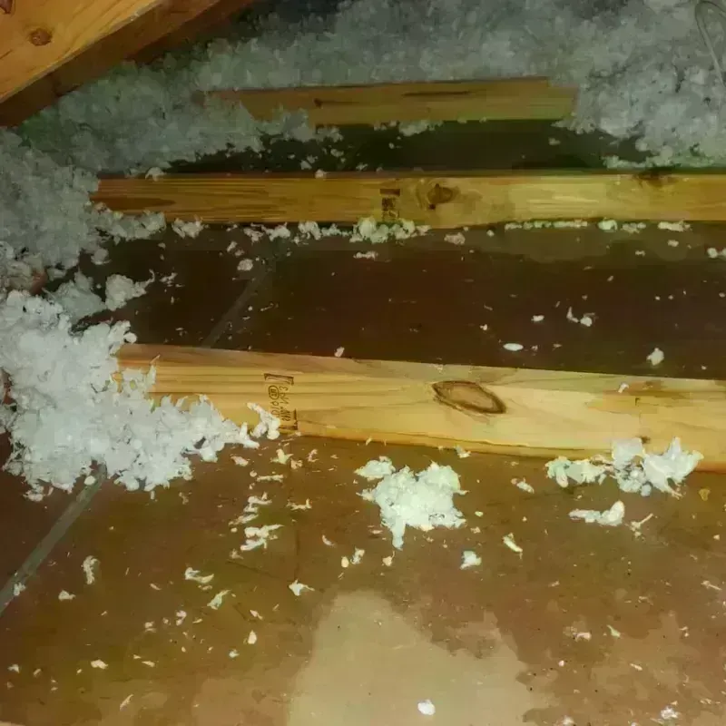 Attic Water Damage in Montgomery, PA