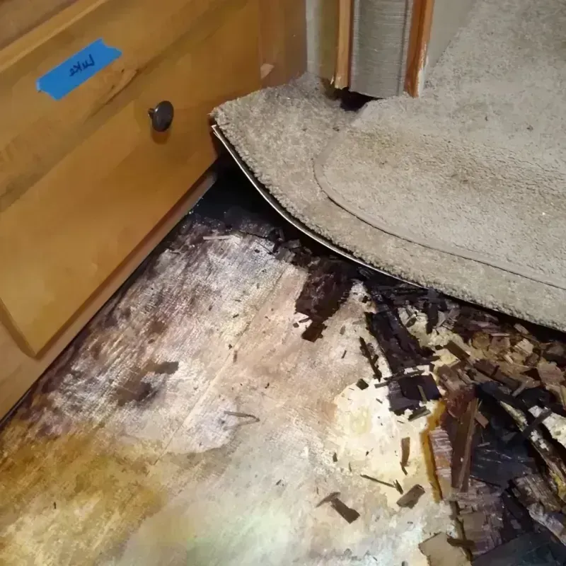 Wood Floor Water Damage in Montgomery, PA